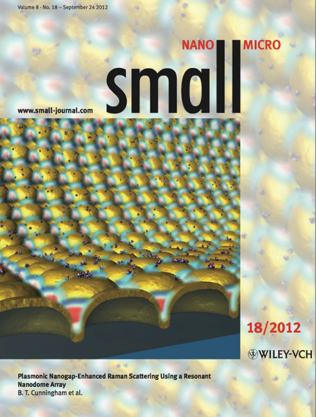 Small Nano Micro cover September 2012