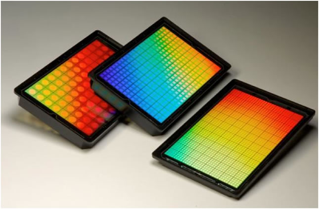 Figure 3. Photo of nanoreplica molded plastic photonic crystal biosensors incorporated into standard format 96-, 384- and 1536-well microplates. Microplates are the most commonly used liquid handling format in life science research, and integration of biosensors with microplates enables biosensor experiments to be performed at high throughput and low cost per assay. The biosensors are manufactured from long, continuous sheets of plastic film with manufacturing methods that allow the sensor surface to produced on a square yardage basis – thus allowing the sensor to be used for single-use disposable applications.