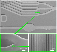 Scanning electron microscope image of an open microfluidic channel network embedded with the photonic crystal biosensor at the bottom surface. 